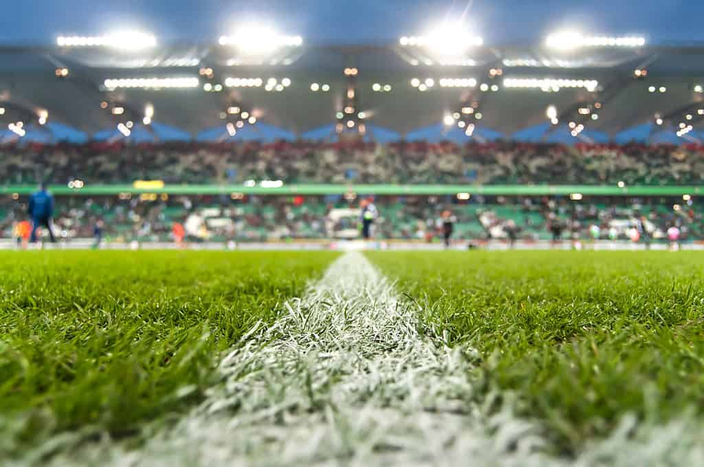 white stripe marking the grass field of the Super Bowl Stadium