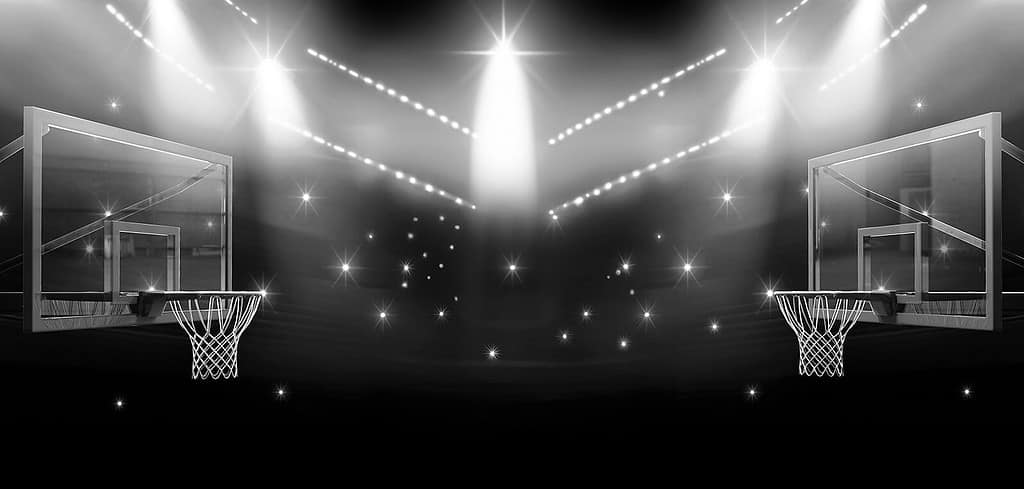 basketball court with many fans in a sports arena